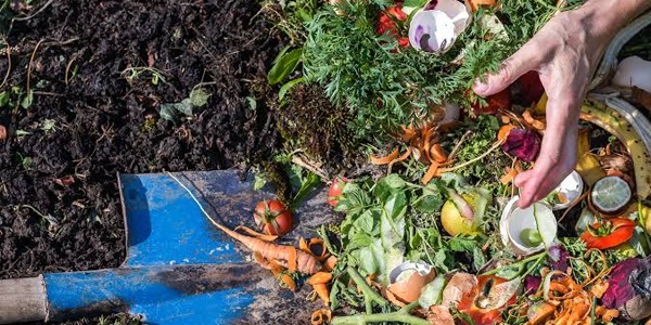 Organic waste disposal Dubai