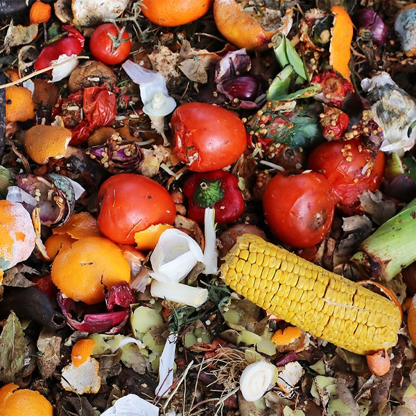 Certified Food & Beverage Disposal in Dubai